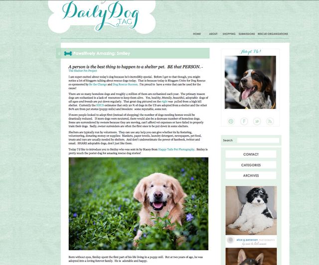 featured on: the daily dog tag