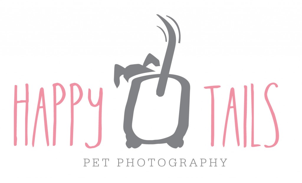 Rebranding a photography business with new logo and website. Happy Tails Pet Photography gets a new look!