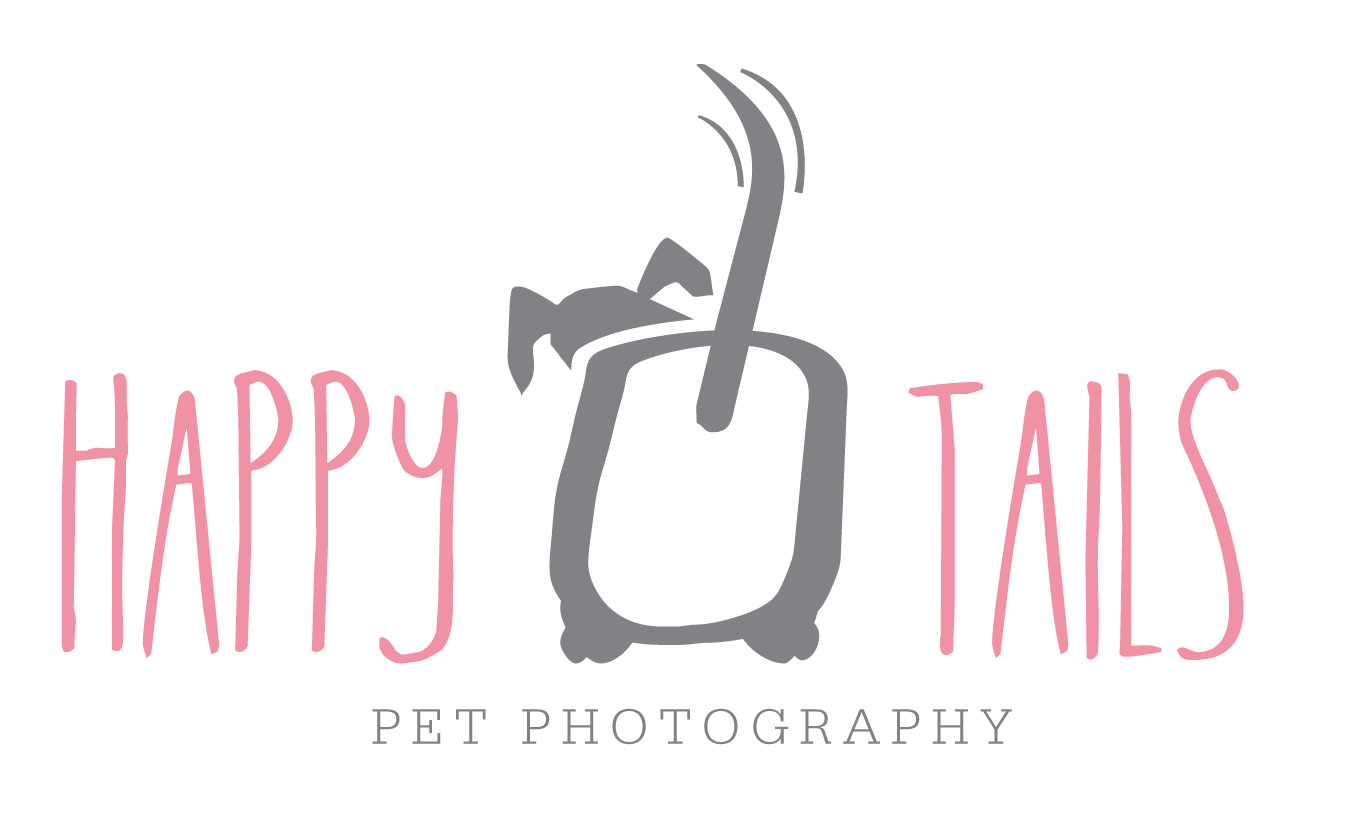 2013 client slideshow | ontario pet photographer