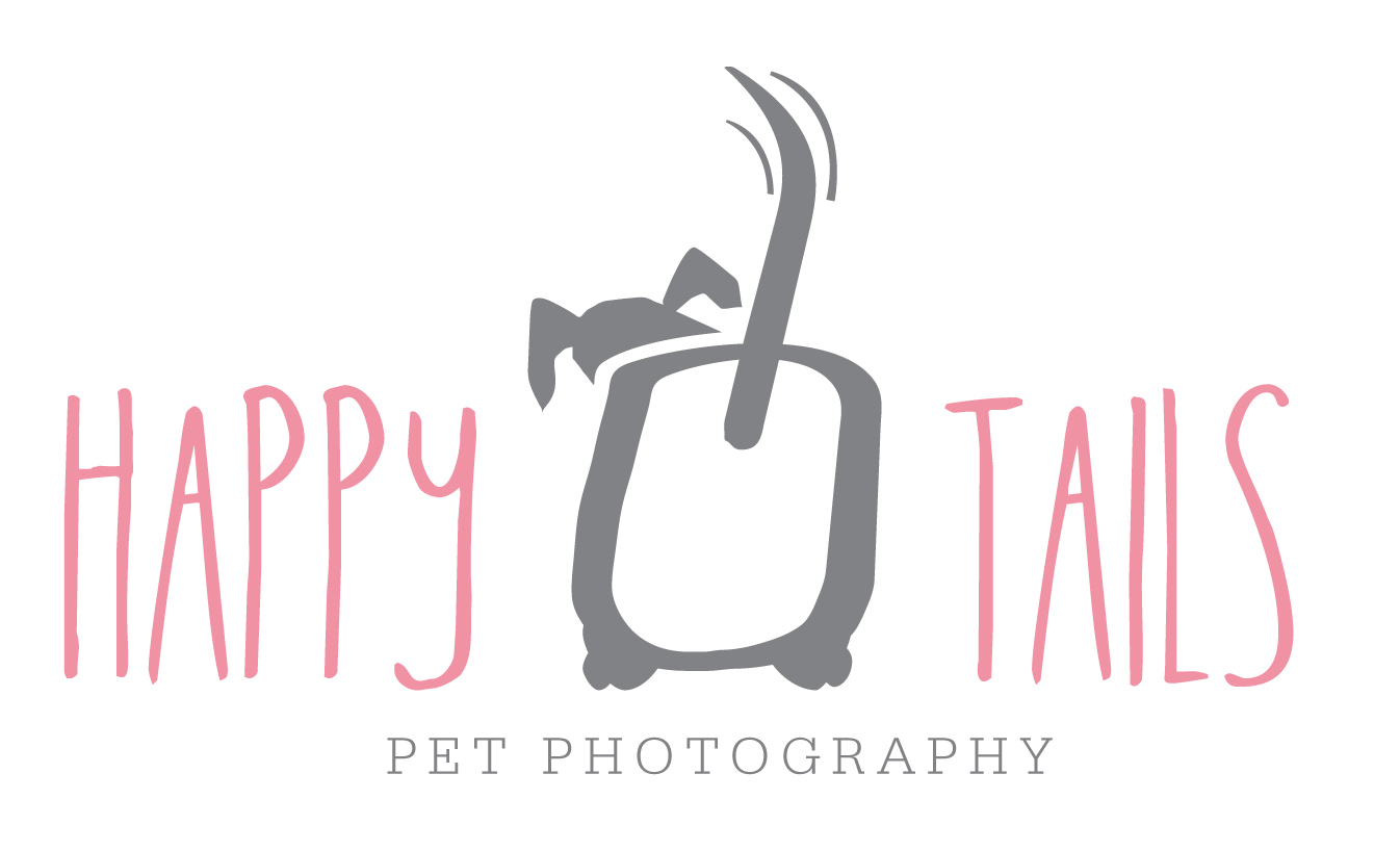 Rebranding a photography business with new logo and website. Happy Tails Pet Photography gets a new look!