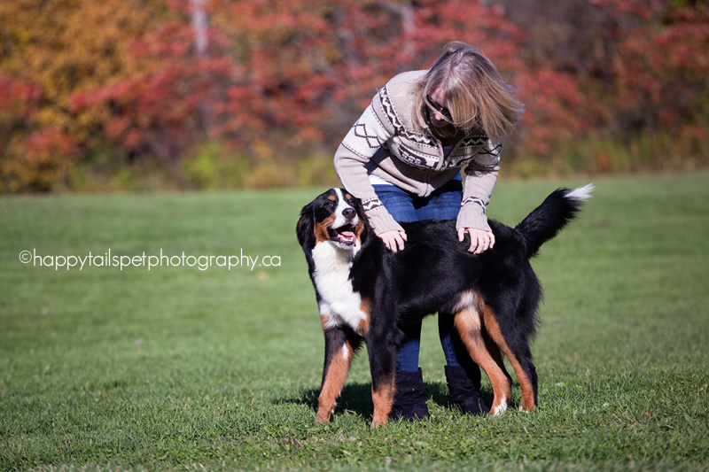 woman plays with her dog in Lowville Park, Burlington.