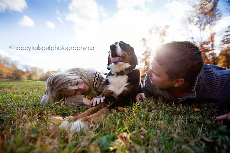 bernese mountain dog with family and sun flare in Ontario.