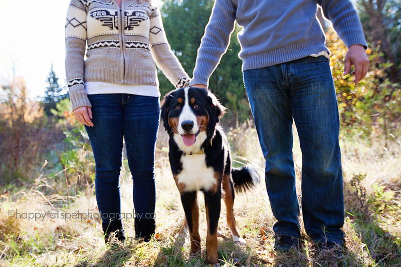 couple holding hands with pet dog in Ontario park.