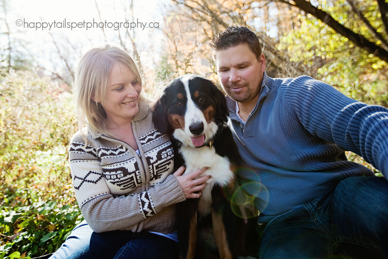 bernese mountain dog with family in Lowville Park, Ontario.