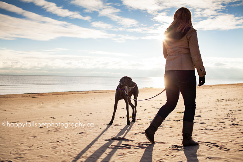 Girl walks dog on beach at sunrise.