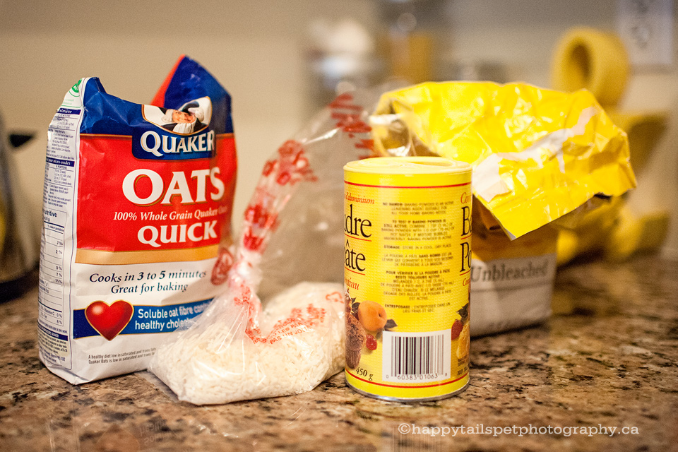 homemade dog treat ingredients