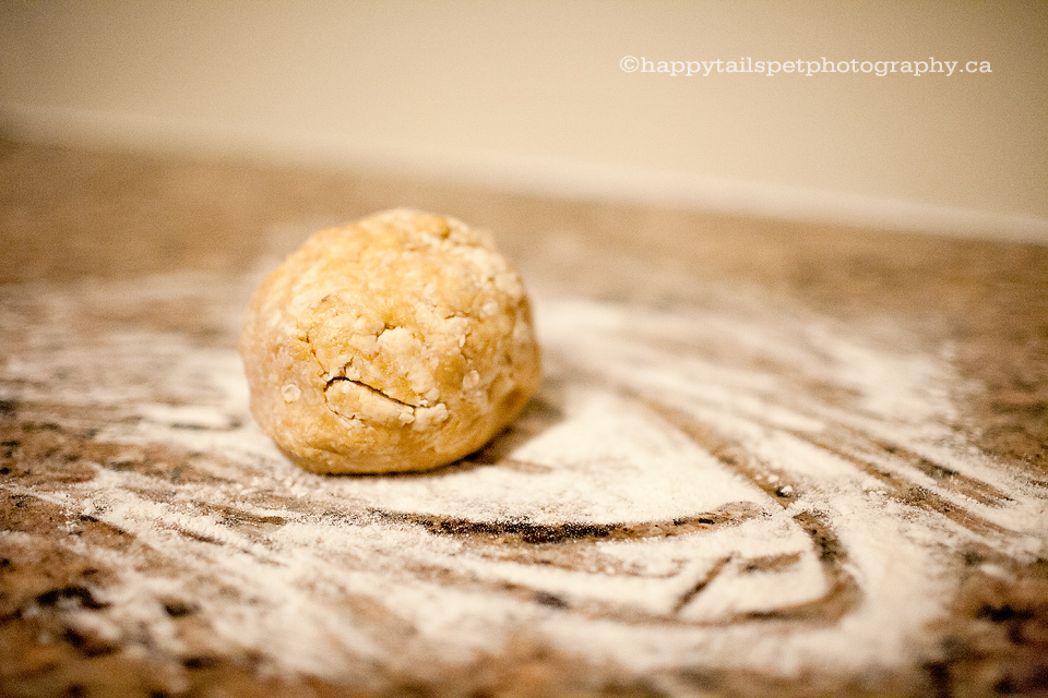 homemade dog treat cookie dough