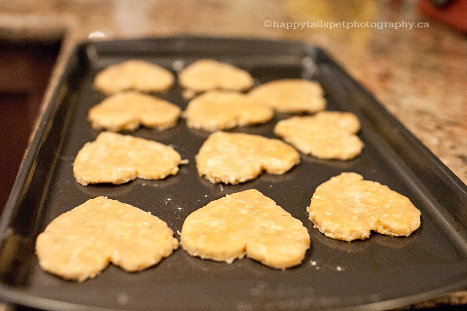 Natural dog biscuits