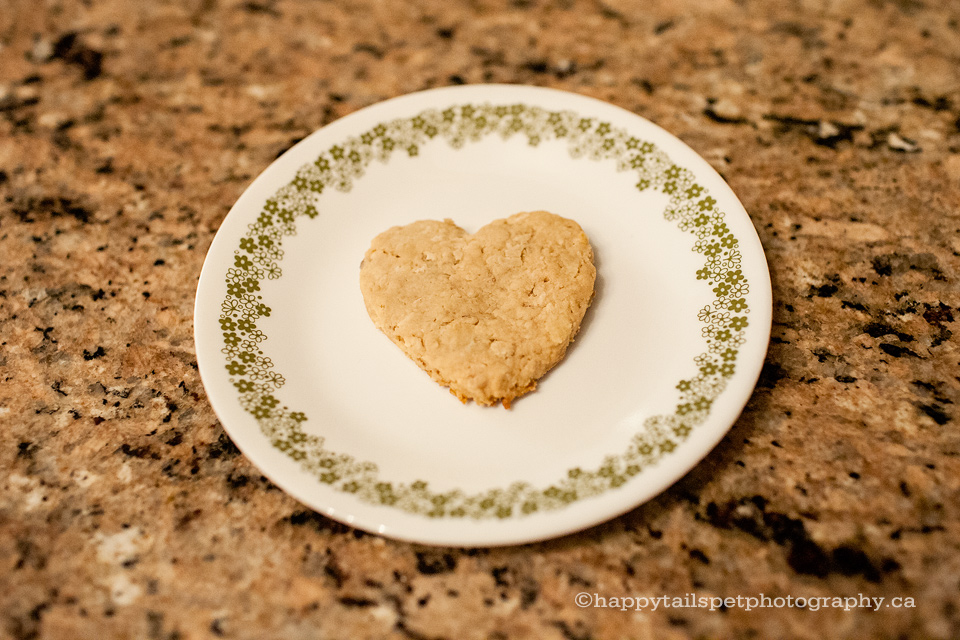 Heart dog biscuit on plate