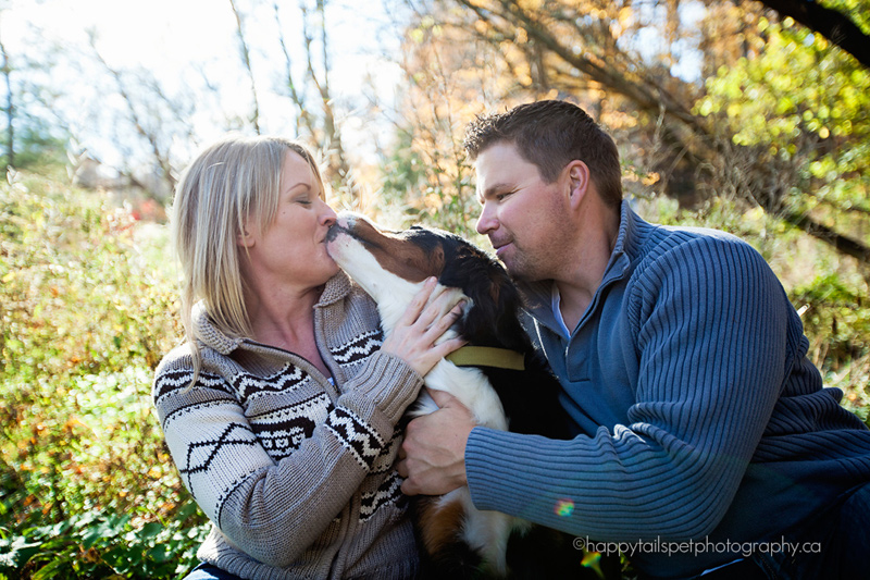 bernese mountain dog kisses surprised owner.