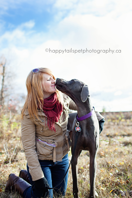 weimaraner dog kisses woman in Burlington, Ontario.