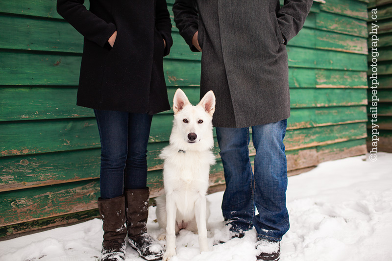 white dog between legs