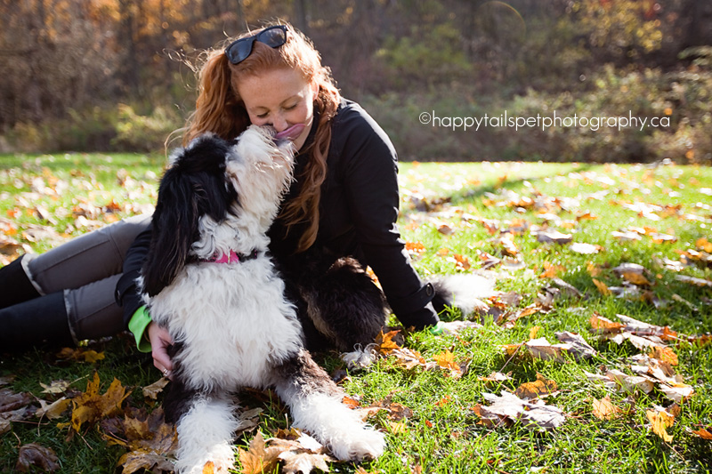 Bernedoodle dog kisses woman during Burlington pet photography session.