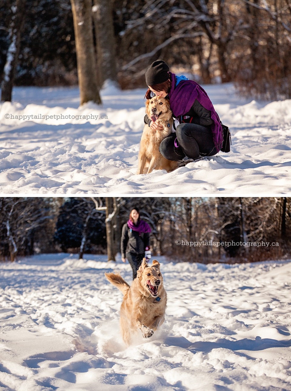 Golden retriver dog and girl hug and run in Ontario field during winter photo