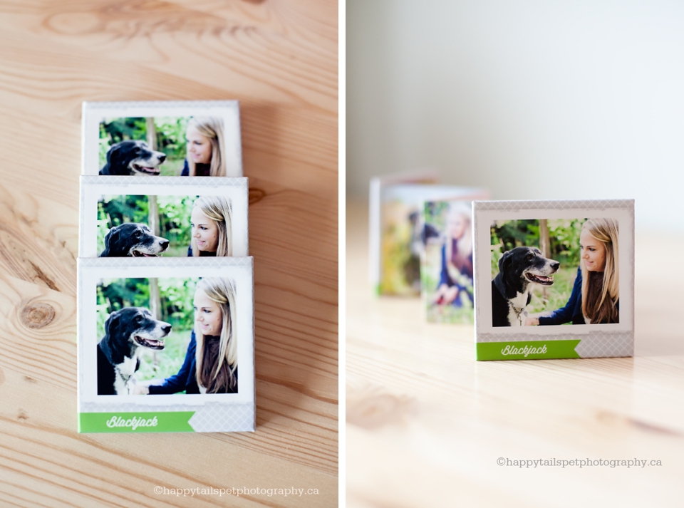 Ontario pet photograpy mini accordion album photo