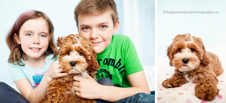 A boy and a girl with their new puppy dog photo.