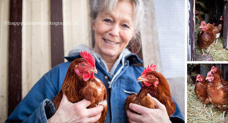 Woman farmer holding chickens portrait photo.