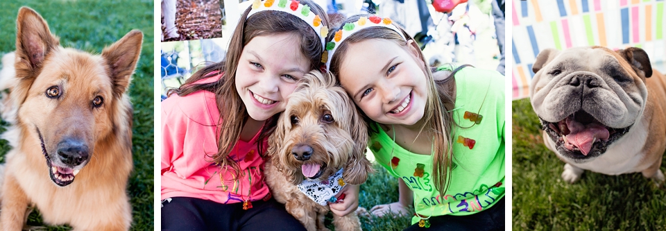 Kids and dogs attend the Burlington Humane Society Arfmazing Race fundraiser.