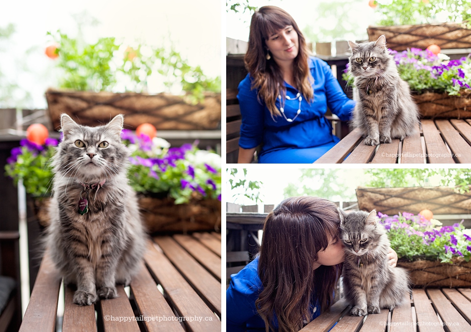 Toronto pet photographer captures bond between a woman and cat at an outdoor photography session photo.
