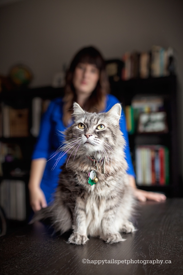 Dramatic pet portrait of a woman and her beautiful cat in Toronto Ontario photo.