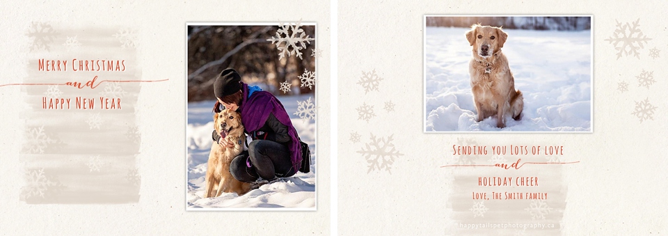 Pet photography holiday card collection