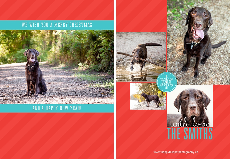 Ontario pet photography cards.