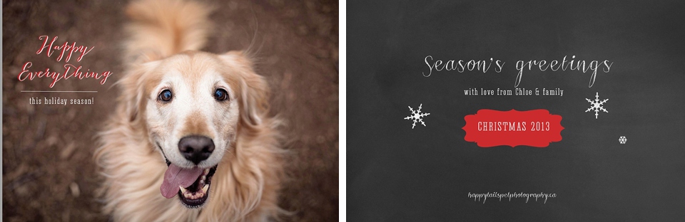 Ontario pet photography christmas card.