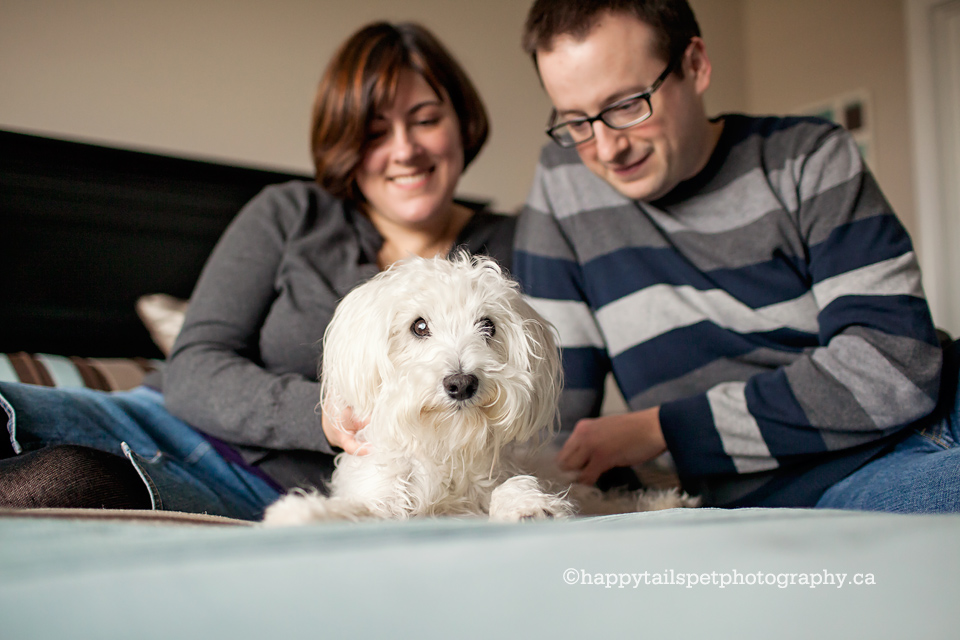Family and dog photography in Ontario.