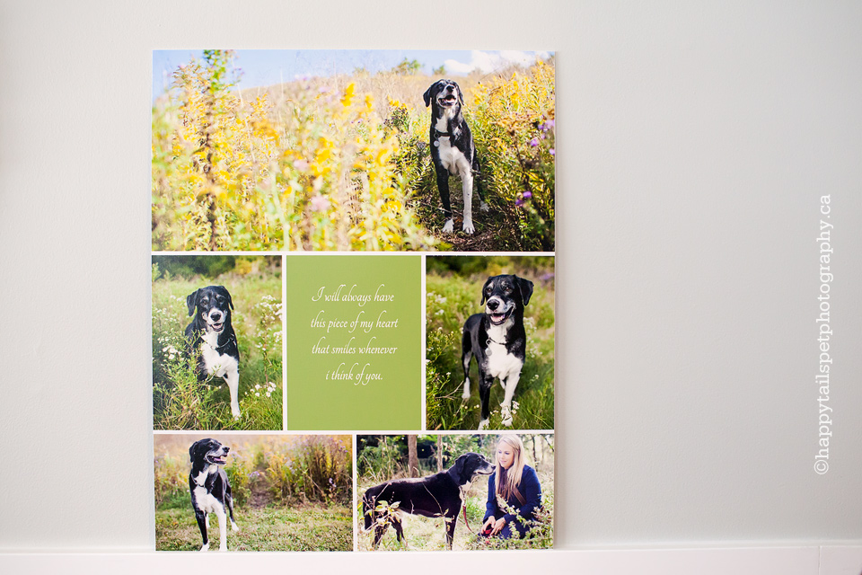 Custom designed 16x24 pet portrait collage with text. 