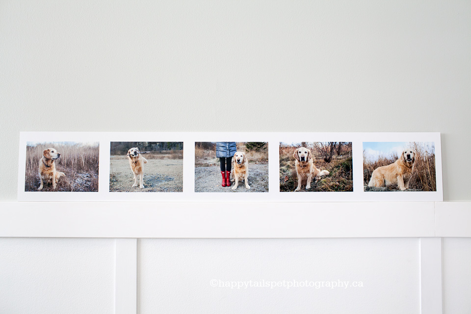 Long storyboard panel with five images on a mounted print.