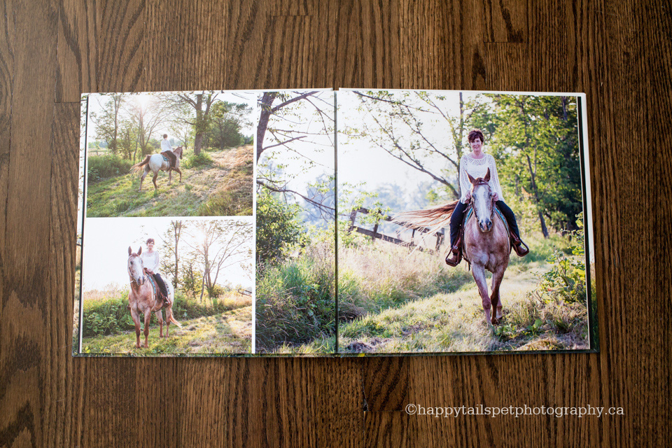 Pet photography product, equine portraits in Burlington, Ontario.