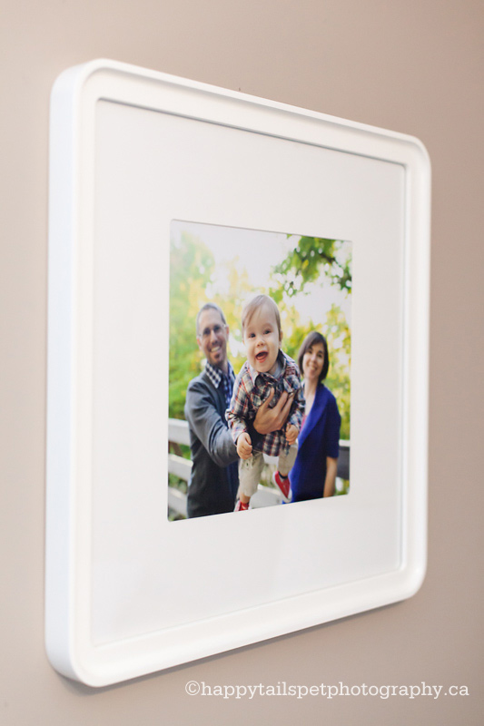 how-to-display-family-photos