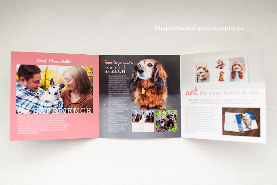 Pet photography trifold session guide for clients
