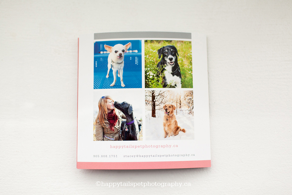 Client welcome package for Ontario pet photographer.
