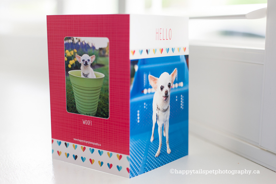 Folded custom pet greeting cards with dog as photographer product for clients in GTA.