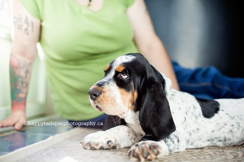 Cute puppy and owner with tattoos snuggle in Ontario pet portraits.