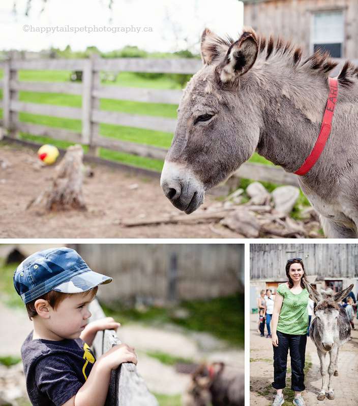 Fun family activity in Guelph, animal experience, photo.