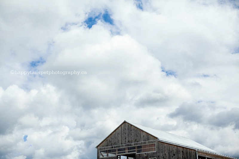 Barn and big sky with clouds, farm photography in Wellington County.
