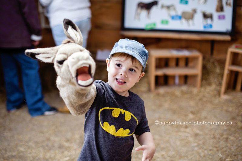 Boy plays with donkey puppet in learning centre at the Donkey Sanctuary of Canada.