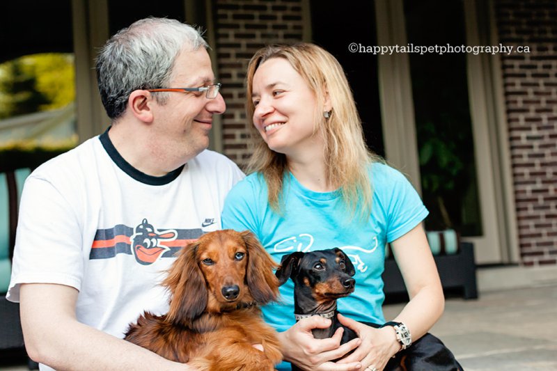 Couple and their adopted wiener dogs, family and pet photography in Oakville, Burlington, Hamilton, photo.