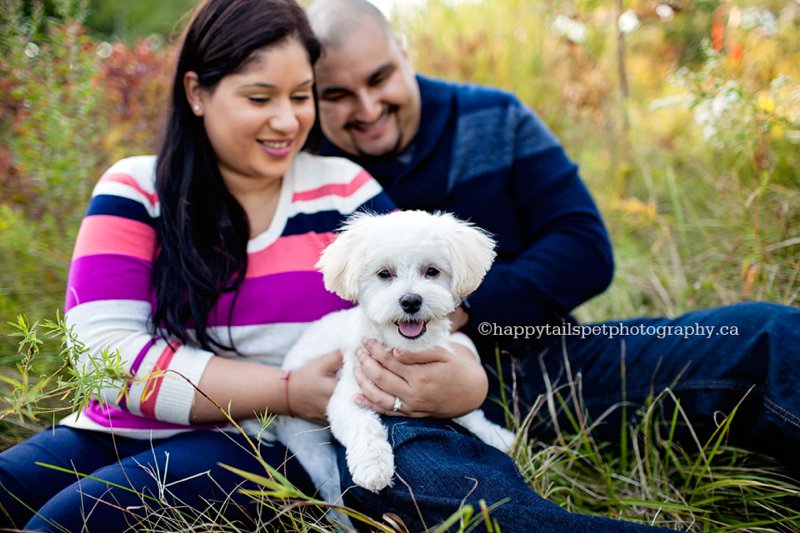 Burlington family photography with puppy. 