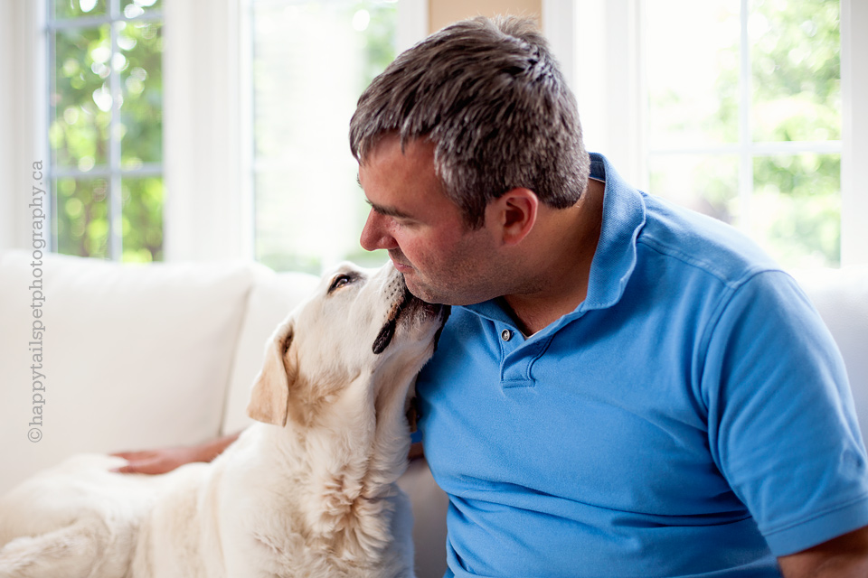 Labrador retriever dog kisses owner, man and dog, human animal bond.