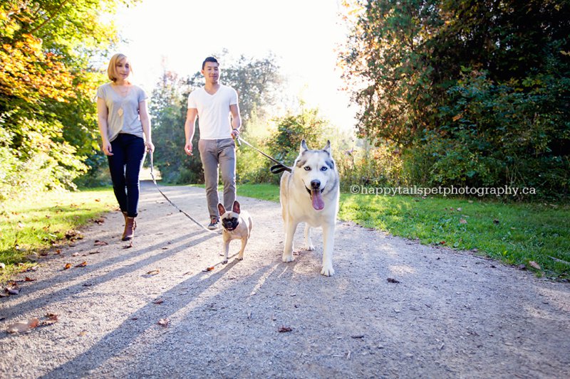 Casual, lifestyle photography with pets in Burlington and Toronto.