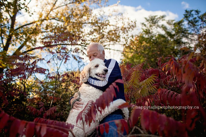 Connection between dog and owner with fall colours by Ontario pet photographer.