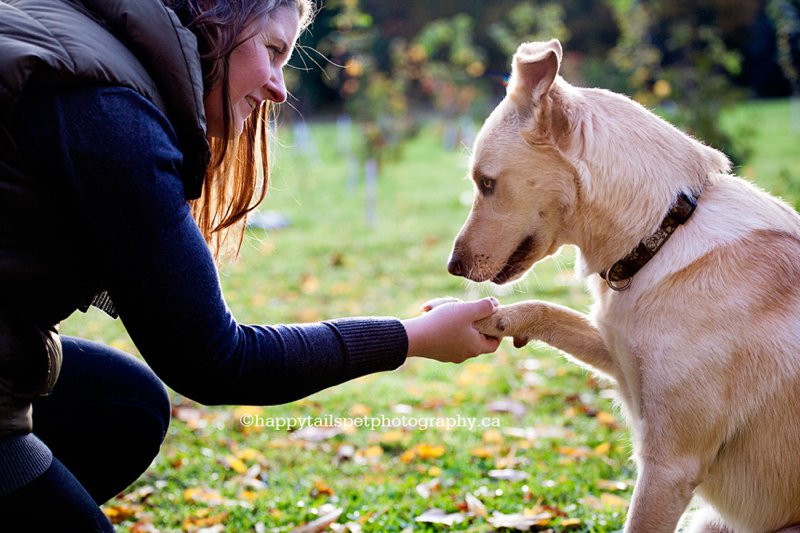 Touching, emotional photo of woman holding her rescue dog's paw.