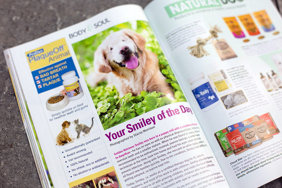 Ontario dog photography published in pet magazine.