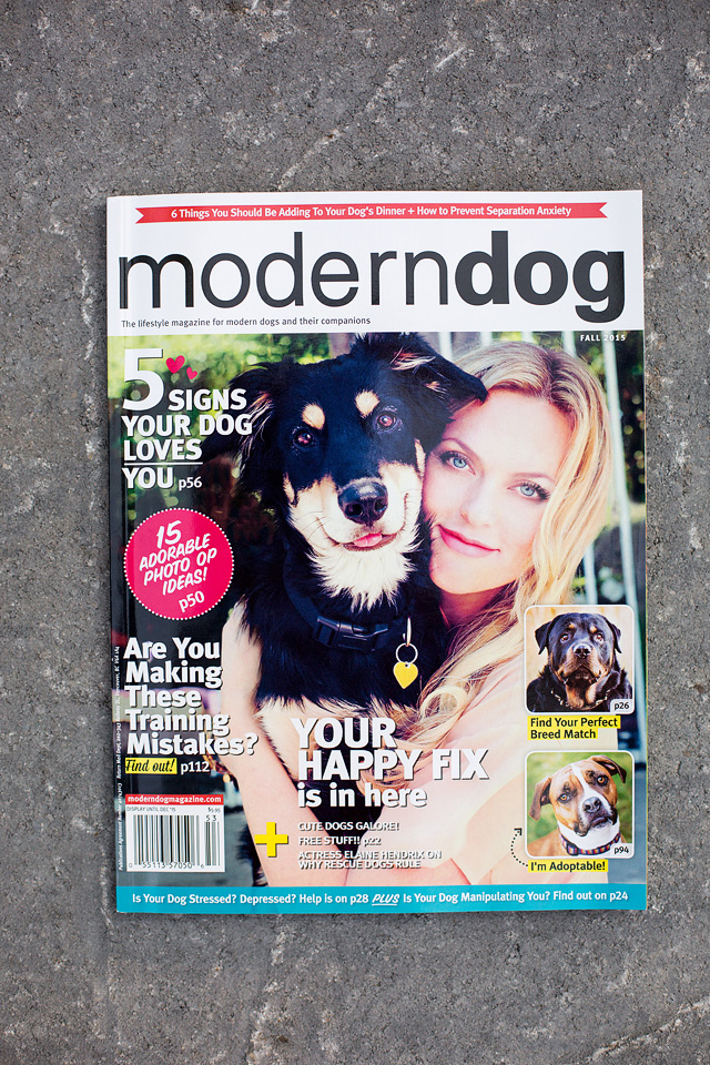 Cover of Modern Dog magazine featuring Happy Tails Pet Photography