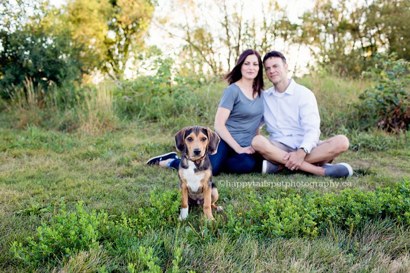 Family and pet photographer in Burlington and Oakville.