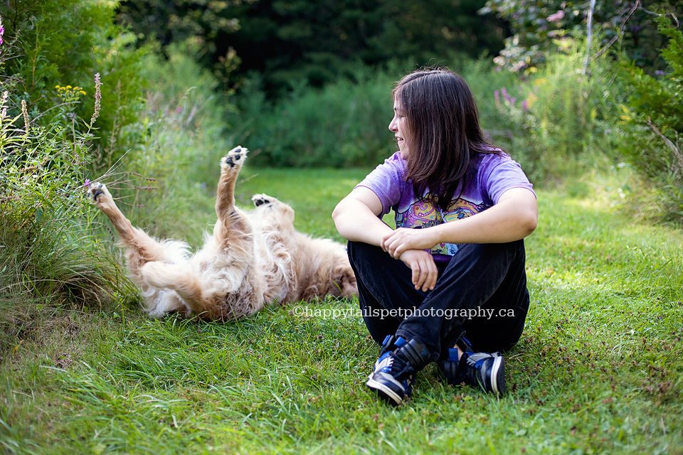 Natural and playful photography of golden retriever dog having fun and family..