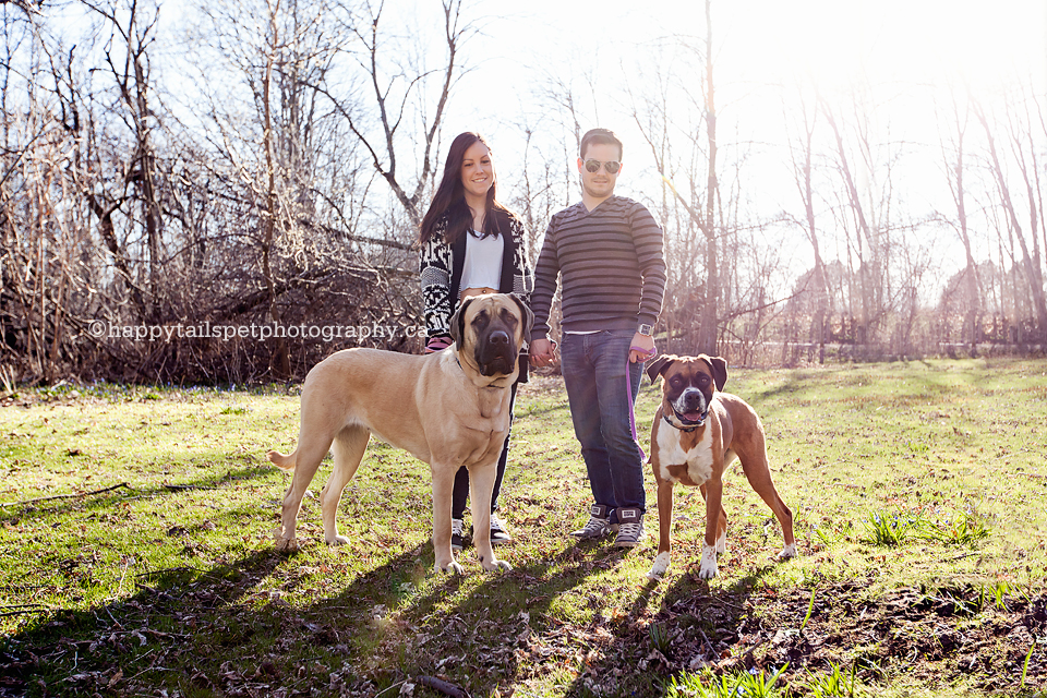 A young couple with two dogs in beautiful outdoor setting by Happy Tails Pet Photography in Oakville dog photography session.